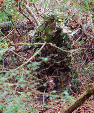 TITAN LEAFY SUIT MOSSY OAK - OBSESSION NWTF L/XL PANTS/TOP